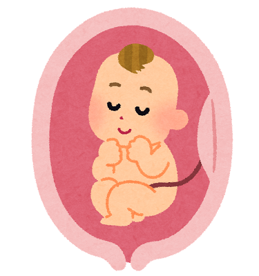 お腹の中の赤ちゃんイラスト
